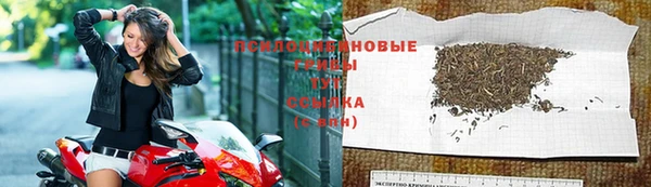 герыч Касимов