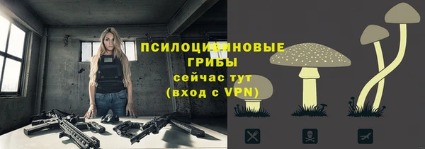 герыч Касимов