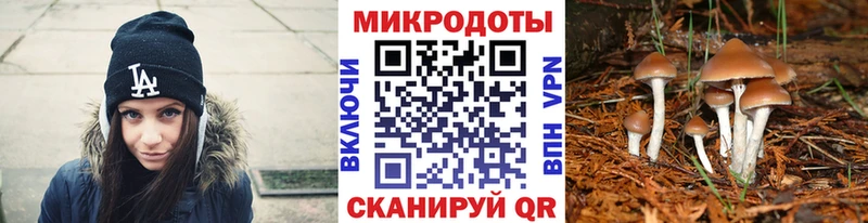 Галлюциногенные грибы Psilocybe  кракен как зайти  Сочи  закладка 